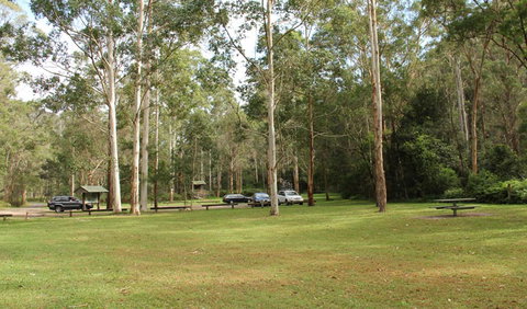 Mill Creek Picnic Area - QLD Tourism 0
