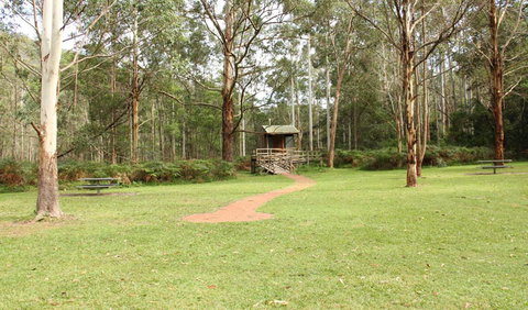 Mill Creek Picnic Area - QLD Tourism 2