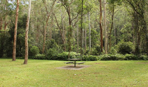 Mill Creek Picnic Area - QLD Tourism 1