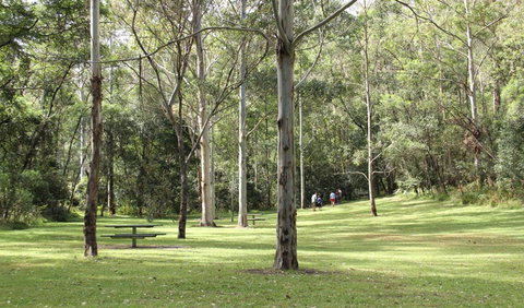 Mill Creek Picnic Area - QLD Tourism 3