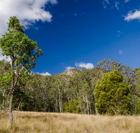 Brush Turkey track - Queensland Tourism