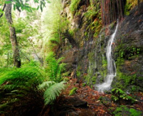 Fairy Bower Falls - QLD Tourism 0