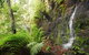 Fairy Bower Falls - thumb 2