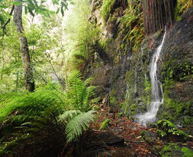 Fairy Bower Falls - QLD Tourism 2