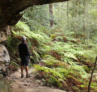 Dharug National Park - Queensland Tourism