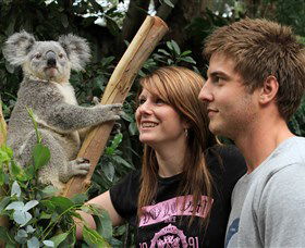 Featherdale Wildlife Park - QLD Tourism 0