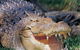 Featherdale Wildlife Park - thumb 1