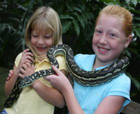 Featherdale Wildlife Park - QLD Tourism 2