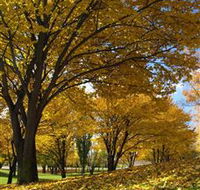 Centennial Park at Cooma - QLD Tourism