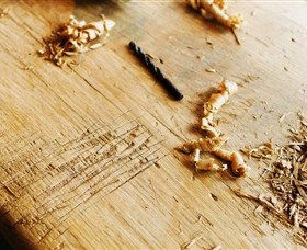 Sally Beresford Antiques/French Farmhouse Tables - Queensland Tourism 2
