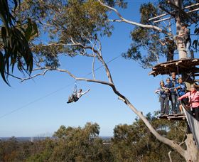 TreeTop Safari - QLD Tourism 0