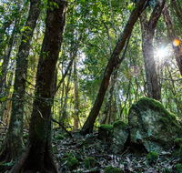 Copeland Tops State Conservation Area - QLD Tourism
