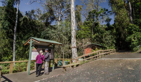 Copeland Tops State Conservation Area - QLD Tourism 2