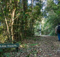 Basin Loop track - QLD Tourism