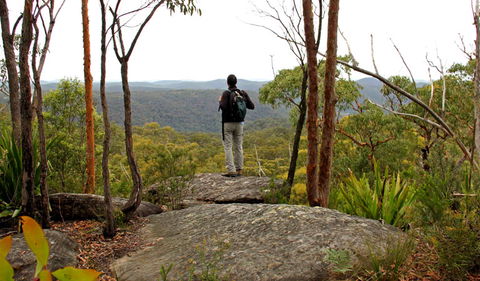 Mount Olive Lookout - Queensland Tourism 1