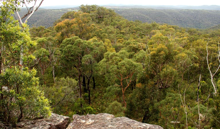 Mangrove Mountain NSW QLD Tourism