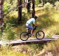 The Steps Mountain Bike Park - QLD Tourism