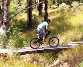 The Steps Mountain Bike Park - QLD Tourism 0