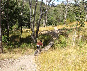 The Steps Mountain Bike Park - QLD Tourism 2