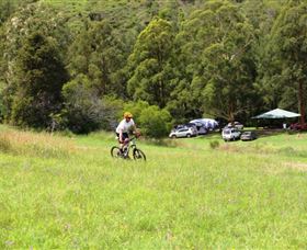 The Steps Mountain Bike Park - QLD Tourism 1