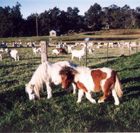 Trudgalong Farm - QLD Tourism