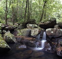 Kangaroo River - Queensland Tourism
