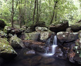 Kangaroo River - Queensland Tourism 0