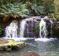 Barrington Tops National Park Walks - QLD Tourism