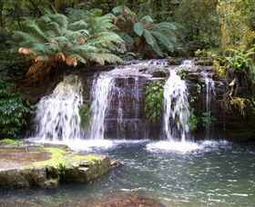 Barrington Tops National Park Walks - QLD Tourism 0