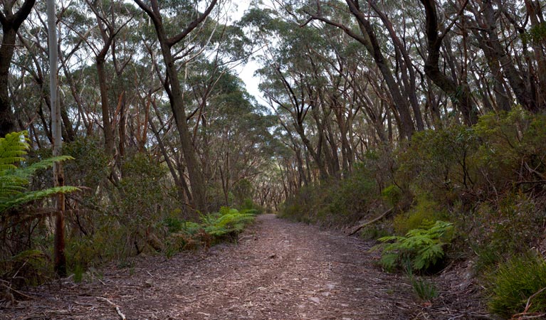 Yadboro NSW QLD Tourism
