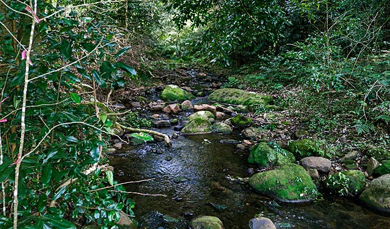 Macquarie Pass NSW Queensland Tourism