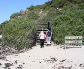 Penguin Island Boardwalks And Walk Trail - Queensland Tourism 2