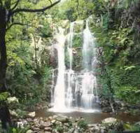 Budderoo National Park - The Falls Walk - Queensland Tourism
