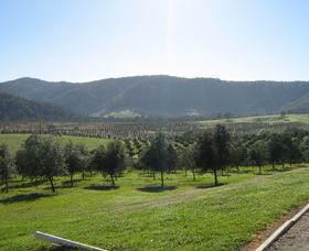 Mount Seaview NSW QLD Tourism
