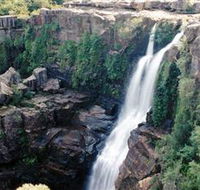 Minnamurra Rainforest Centre Budderoo National Park - Queensland Tourism