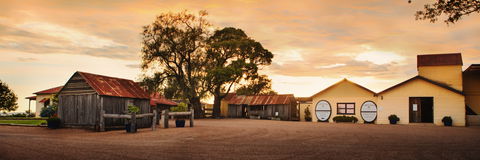 Tyrrells Vineyards - Queensland Tourism 2