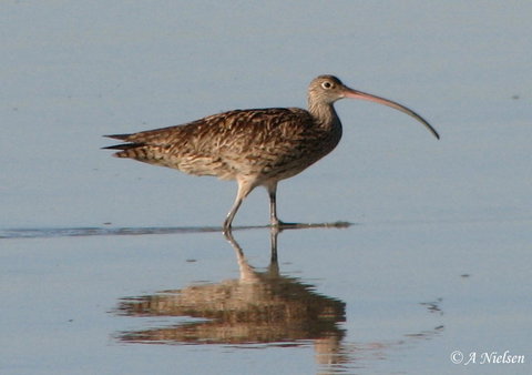 Cooloola Nature - QLD Tourism 3
