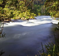 Nymboi-Binderay National Park - QLD Tourism