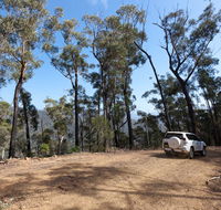 Wadbilliga Road drive - Queensland Tourism
