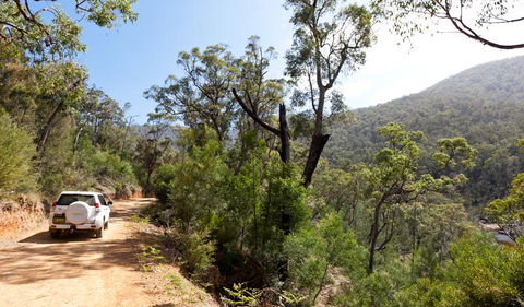 Wadbilliga Road Drive - Queensland Tourism 1