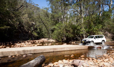 Wadbilliga Road Drive - Queensland Tourism 2