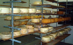 Harvey Cheese - QLD Tourism 0