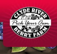 Clyde River Berry Farm - QLD Tourism