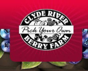 Clyde River Berry Farm - QLD Tourism 0