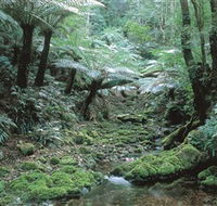 The Corn Trail Walk - QLD Tourism
