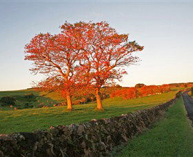 Saddleback Mountain Lookout - QLD Tourism 2
