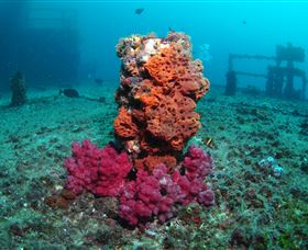 HMAS Brisbane Dive Site - QLD Tourism 0