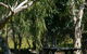 Windara Communities - thumb 0