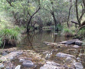 Homeleigh - Queensland Tourism 0