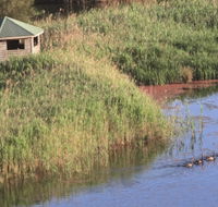 Spring Creek Bird Hide - Queensland Tourism